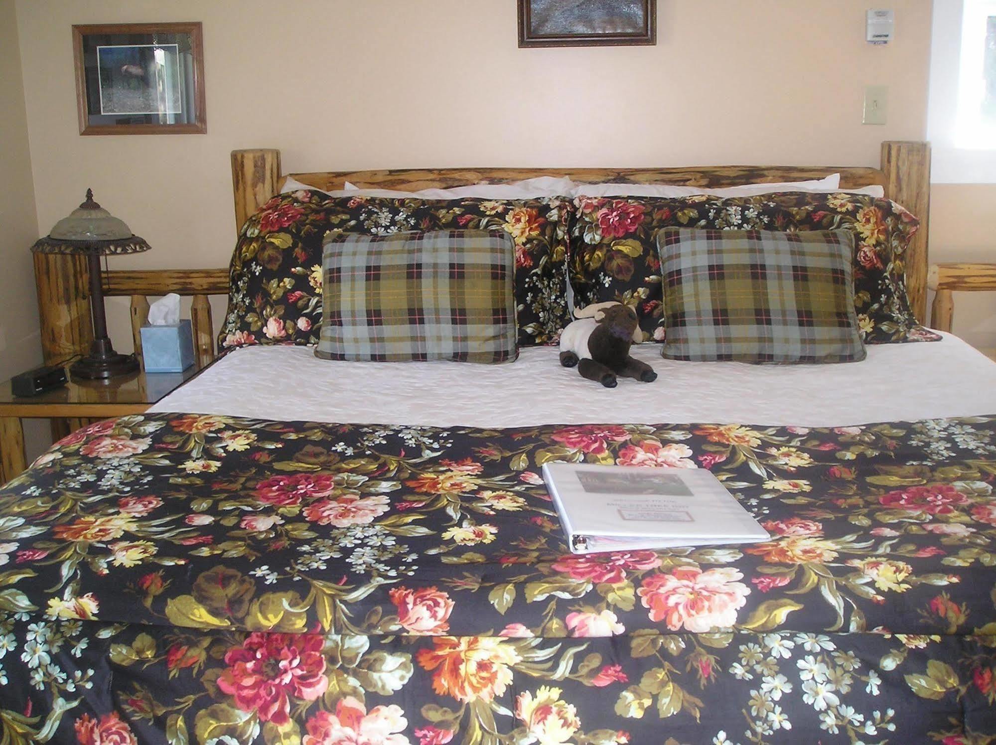 Miller Tree Inn Форкс Екстериор снимка
