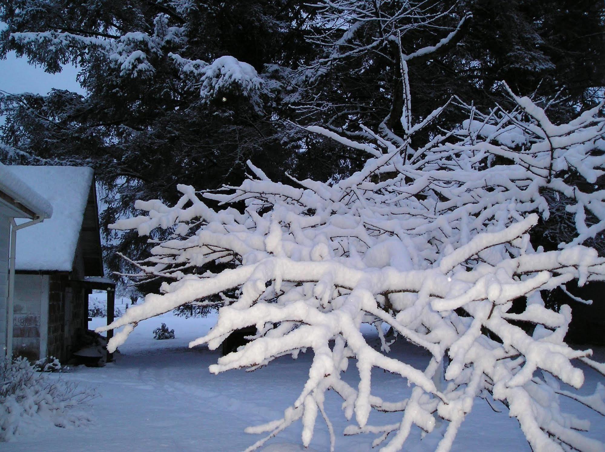 Miller Tree Inn Форкс Екстериор снимка